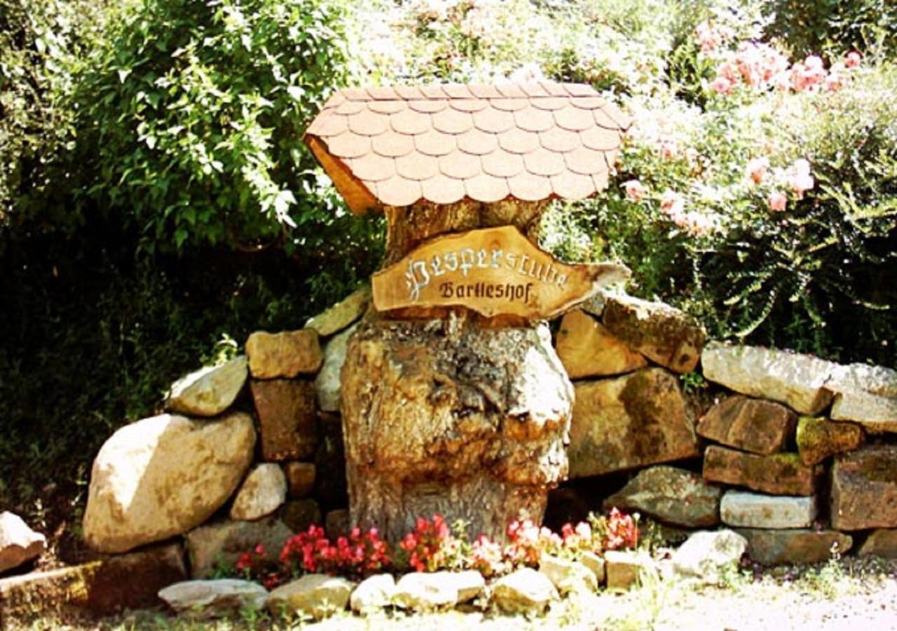 Bartleshof Apartment Wolfach Ngoại thất bức ảnh